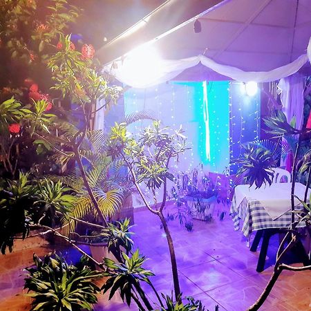 بوكا شيكا Hotel El Tronco Inc المظهر الخارجي الصورة