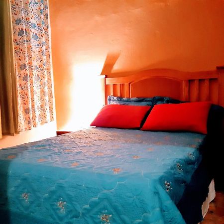بوكا شيكا Hotel El Tronco Inc المظهر الخارجي الصورة