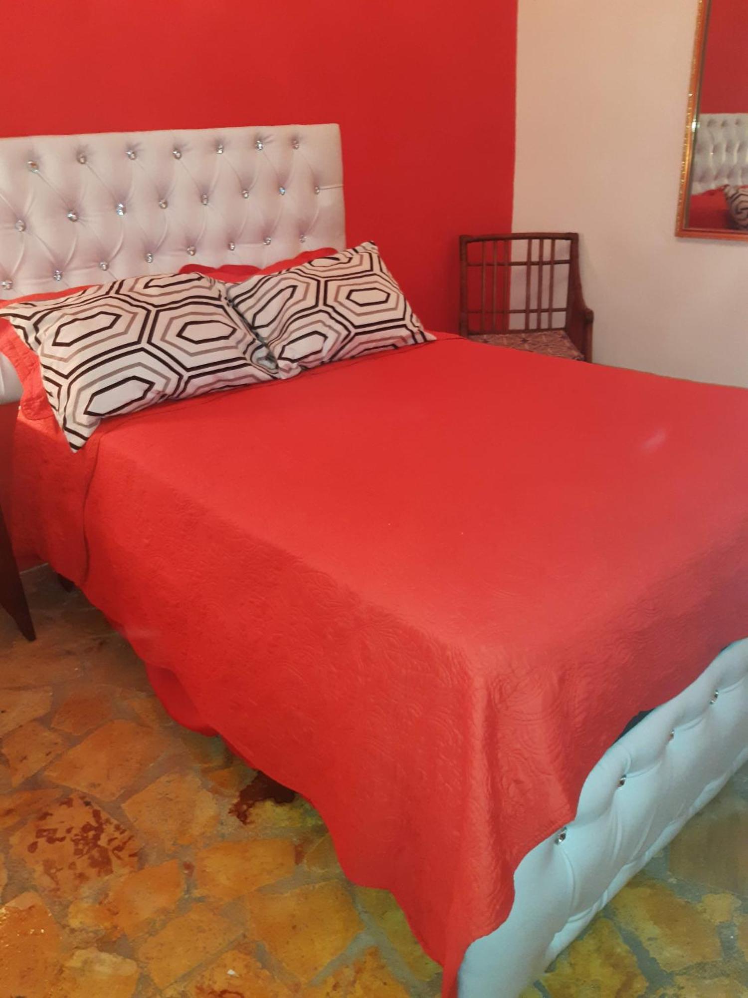 بوكا شيكا Hotel El Tronco Inc المظهر الخارجي الصورة