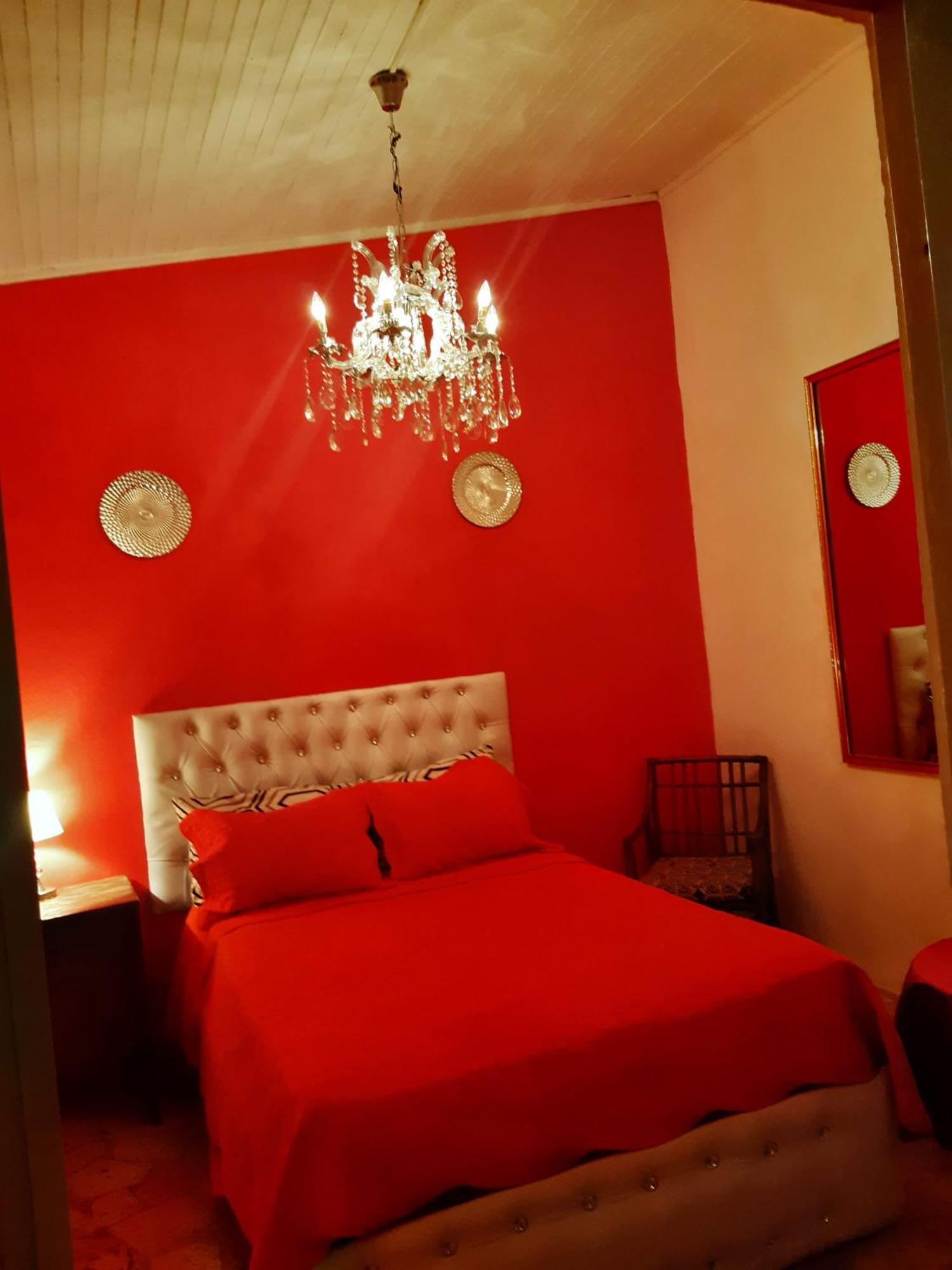 بوكا شيكا Hotel El Tronco Inc المظهر الخارجي الصورة