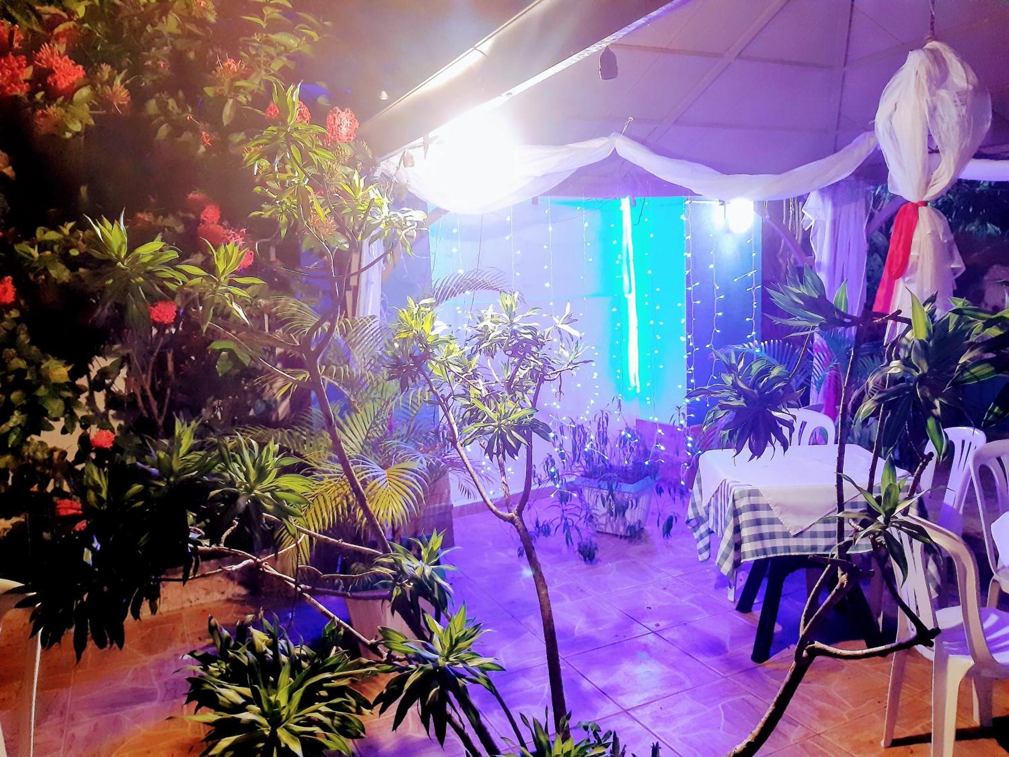 بوكا شيكا Hotel El Tronco Inc المظهر الخارجي الصورة