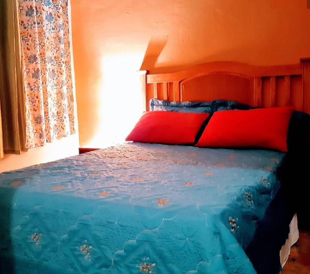 بوكا شيكا Hotel El Tronco Inc المظهر الخارجي الصورة